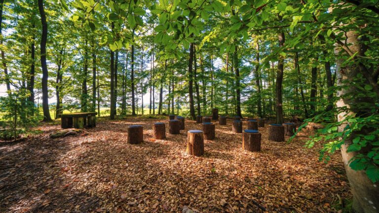 Der Andachtsplatz 1 liegt an einer lichten Stelle am Rand unseres Bestattungswaldes. Gepolsterte Hocker aus Baumstämmen und Altar geben einen würdigen Rahmen für Trauerreden.