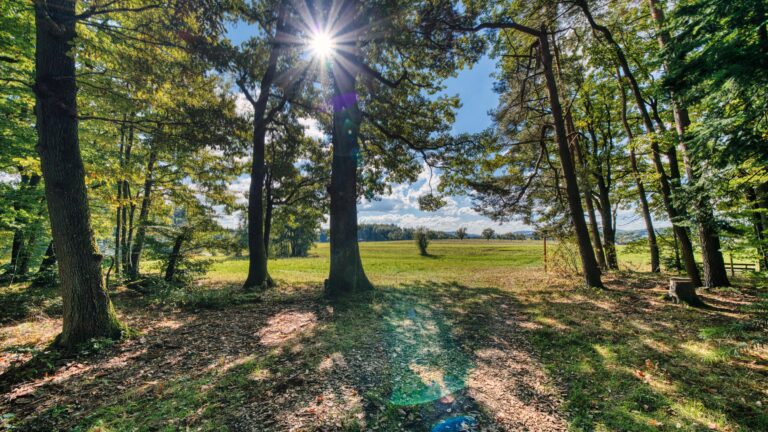 Am Rand der Waldruh Schwäbischer Wald lichtet sich das Laubdach und gibt den Blick frei auf grüne Wiesen und ein wunderschönes Panorama Richtung Wüstenrot